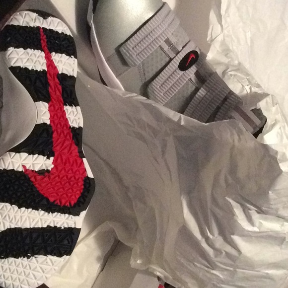 lebron soldier xi sfg